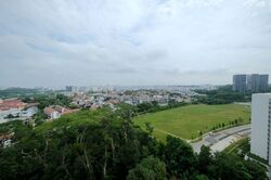 The Skywoods (D23), Condominium #555221281